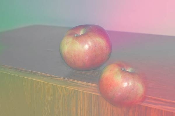 L’étrange beauté de Dongwook Lee