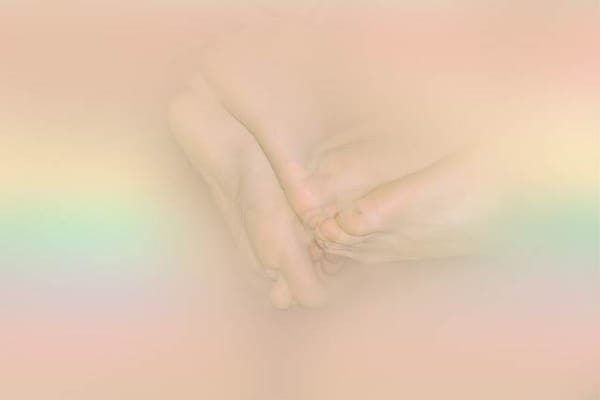 L’ÉTERNITÉ SOUS PLASTIQUE