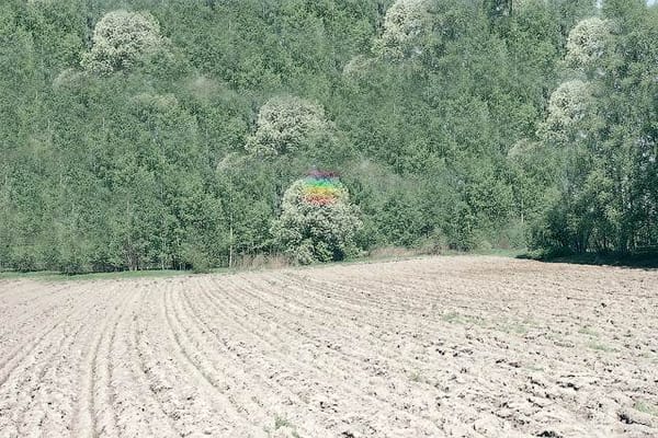 Jennifer Lopez touche le fond