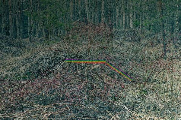 CORNELIA HEDIGER : L’IMAGE EN QUADRILLAGE