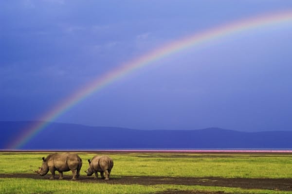 Barbie s’incruste dans l’art