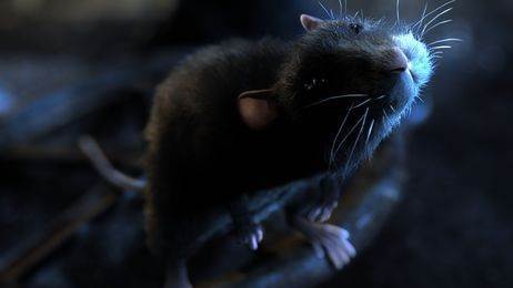 Alex Weil réalise “One Rat Short” un film impressionnant en animation 3D