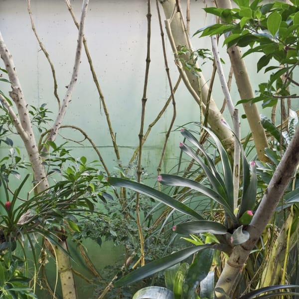 Les plus belles photos de Google Street View