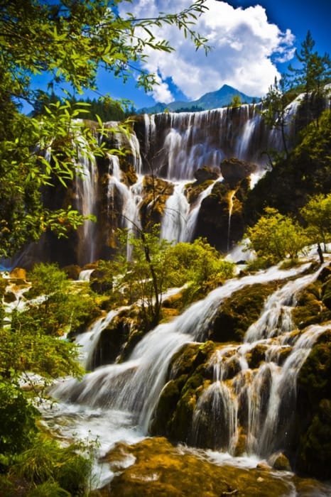 Adam Wallensten, la touche du nord