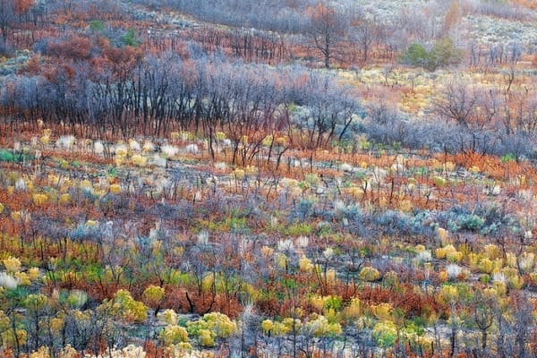 Hifana sample la ville