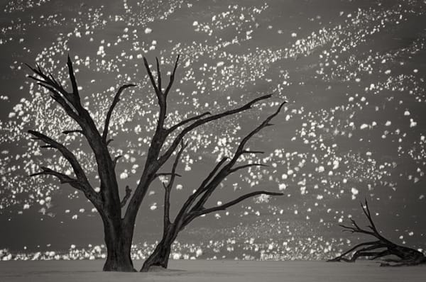 Pierre Baëlen, photographe de contraste