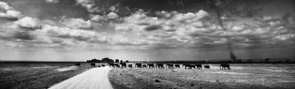 Cate Parr, d’eau et de peinture