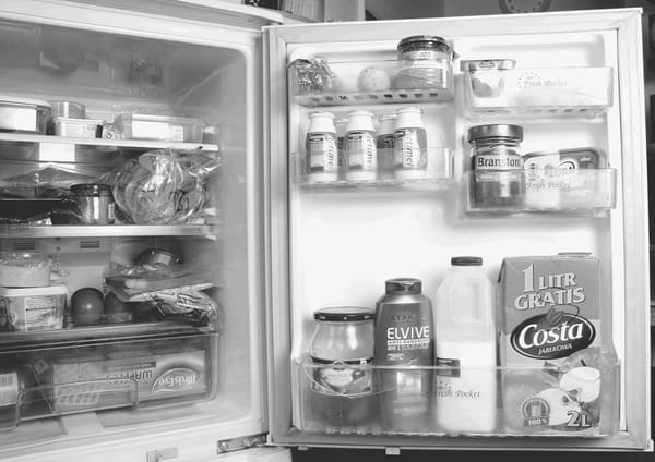 Mais que fait Terry Richardson ?