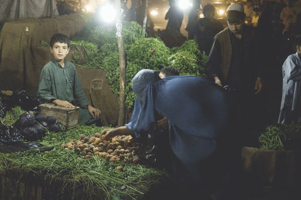 Mystery Jets – Someone Purer