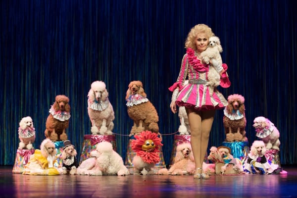 The Poodle Trainer By Vance Malone