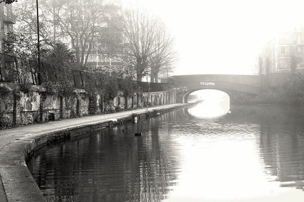 L’époustouflante beauté de Tell No One