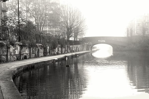 L’EXPERIENCE DE WALK OFF THE EARTH