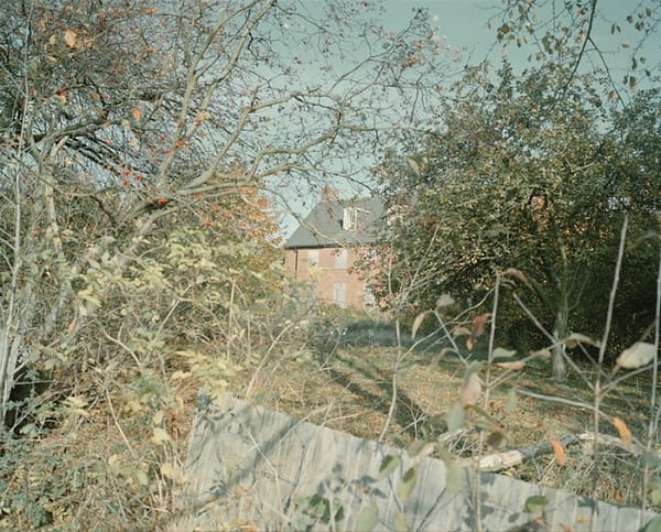 JULIE CALBERT, ESTHÉTIQUE FROIDE