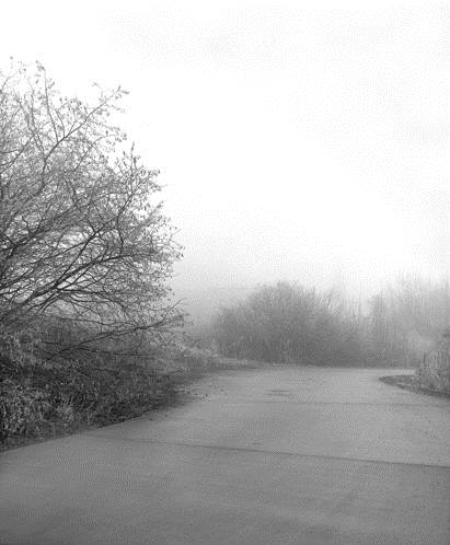 Stéphane Sednaoui, la beauté de la réalité