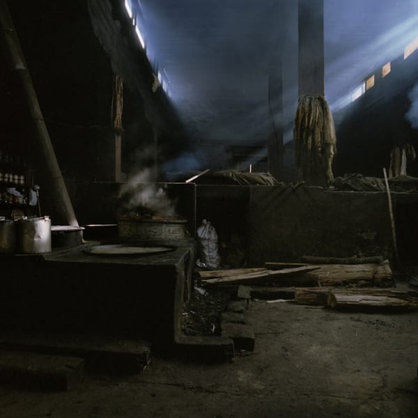 Yann Stofer, du rock indé à la photo