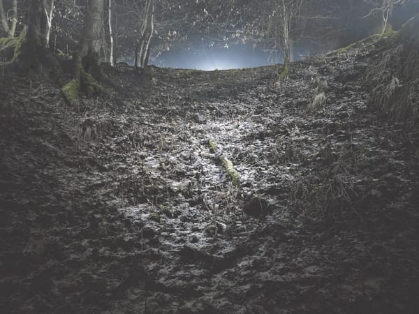 Half Moon Run – Call Me in the Afternoon