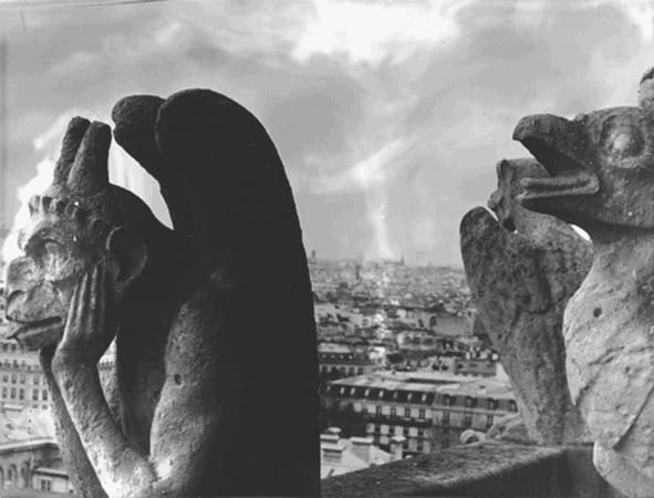 Je ne veux pas d’une passion – Diane Brasseur