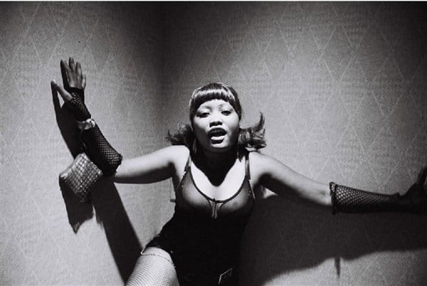 Caged Animals – All The Beautiful Thing In The World