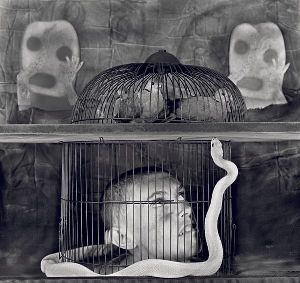 Roger Ballen : Asylum of the Birds