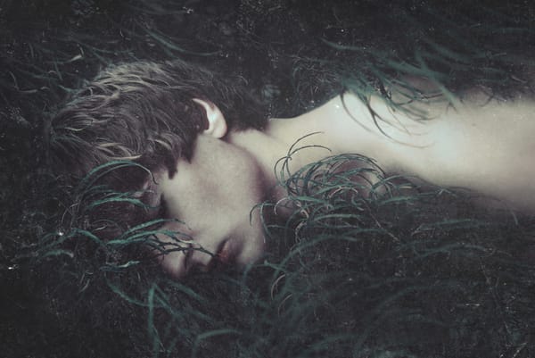 Collin McAdoo : l’éphèbe de la photographie