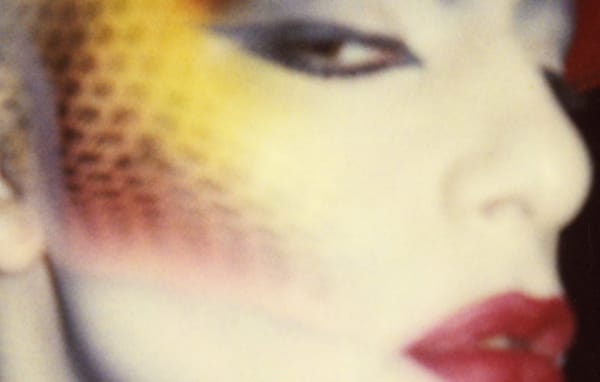 Les Coulisses de Playboy