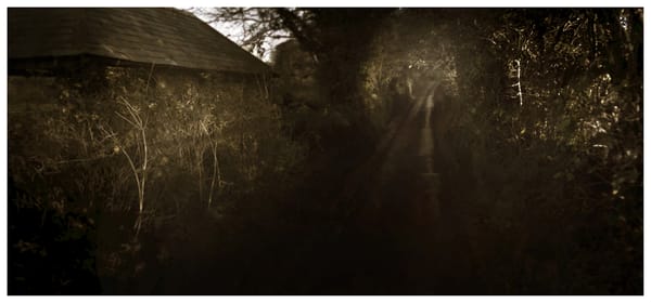 Sharon Van Etten – Magic Chords