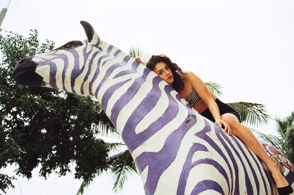 Punk is dead, Long live the punk