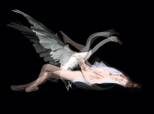 Derrick Santini ou l’art de l’image en mouvement