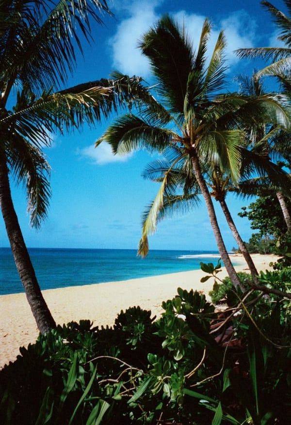 MARIO TESTINO : HOT SPOT