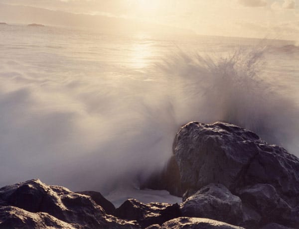 Vava Ribeiro, embrun de talent