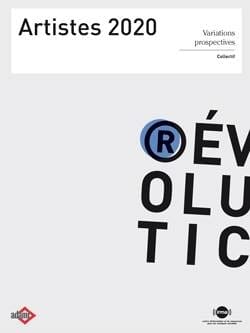 Les artistes en 2020, quelques pistes de réflexion :