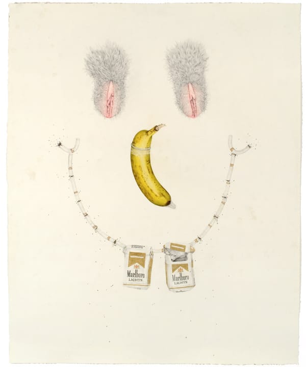 Aurel Schmidt : férocement féminine