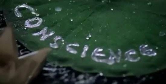 A la découverte de nouveaux talents # 8