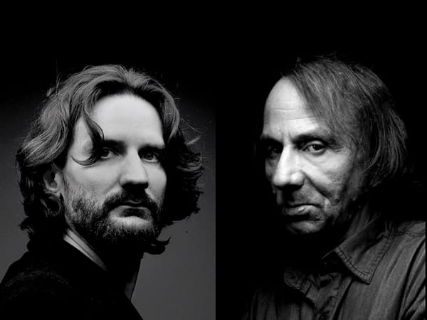 Les Derniers jours de Michel Houellebecq suivi du Journal de Frédéric Beigbeder