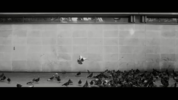 LUMIÈRE SUR LE PALMARÈS DES YOUNG DIRECTOR AWARD