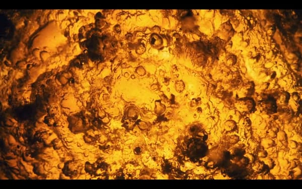 KLAUS THYMANN : L’ORIGINAL