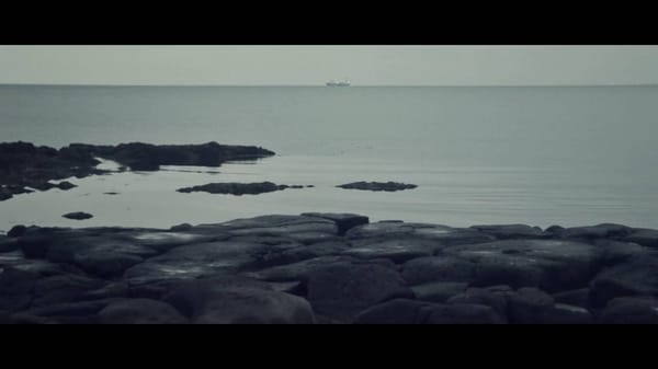 OHM SQUARE – HUMANIC