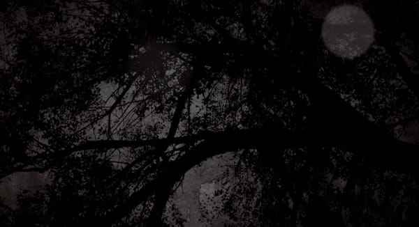 LA MUSIQUE, LES YEUX DANS LES YEUX