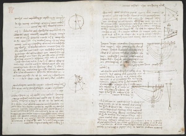 DE VINCI : SES NOTES ENFIN DISPONIBLES