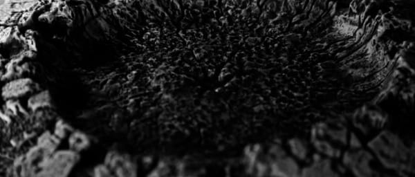 L’ACTIVISME PROPRE