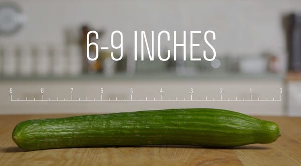 LE CLIP DE 24H DE PHARRELL WILLIAMS