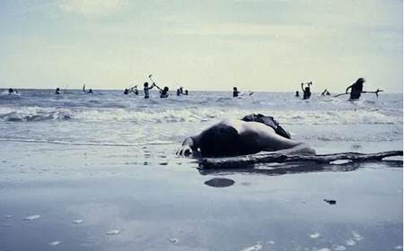 Jason Miller réalise « Coquet Coquette » pour le groupe Of Montreal