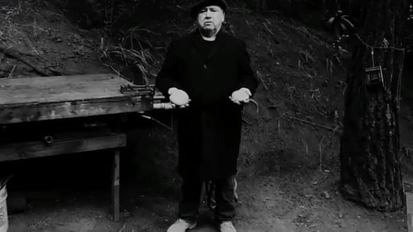 Lumière sur la folie ordinaire de David Lynch