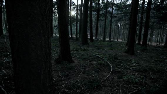 Lumière sur le jeune réalisateur Andreas Pasvantis