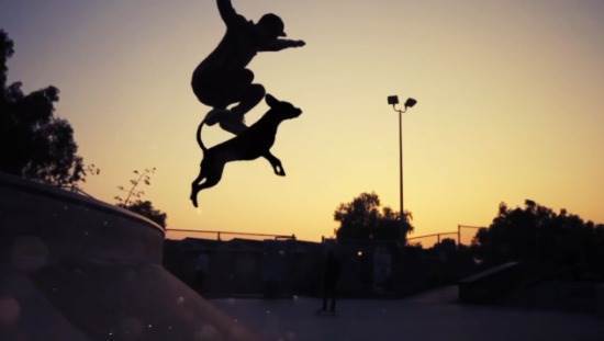 Le duo Daniels réalise “Dogboarding”, un film déroutant