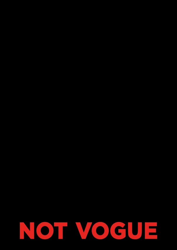 ECHO CHAMBER 2017 STEVE OKLYN [NOT VOGUE]