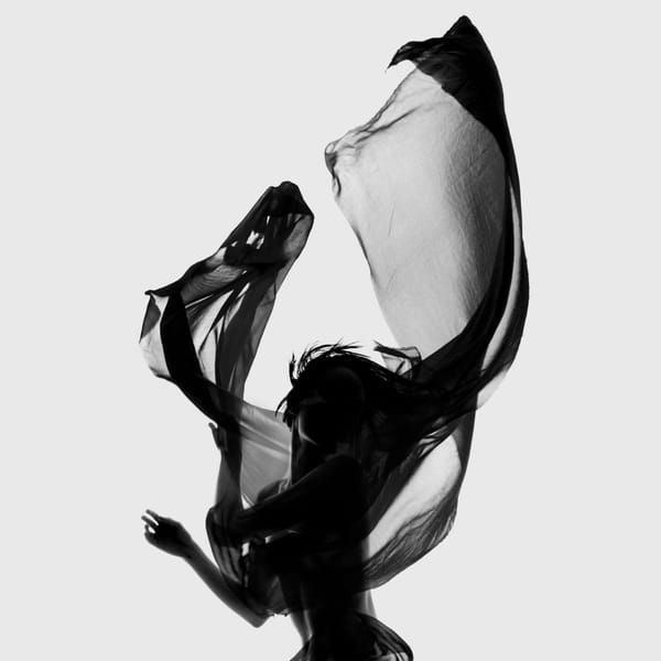 Flora Borsi : Shadows of monsters