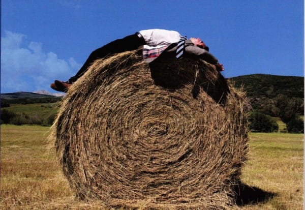 Olivier Maulin : « Gueule de bois »