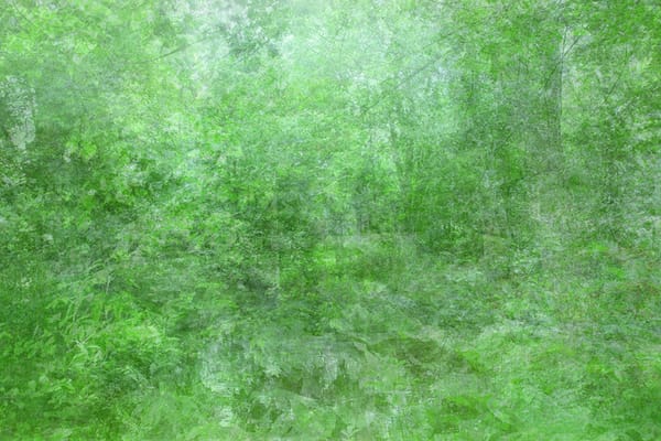 26ème édition du festival d’Hyères – Kim Boske #3