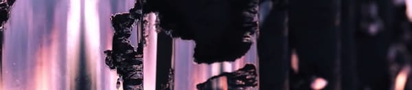 Promenons nous dans le bois